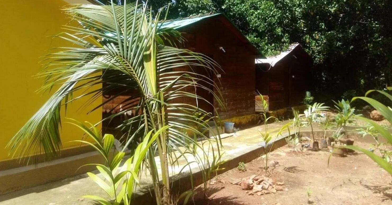 Фото Lavish Exotic Hotel & Apartment (ex. Lavish Cottages Guest House, Lavish Exotic Hotel & SPA) 2*